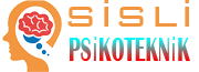 Sisli Psikoteknik Logo